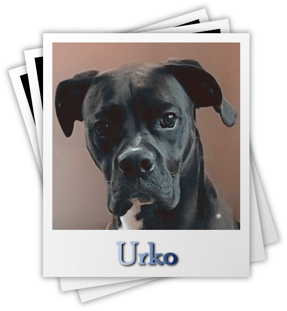 Urko