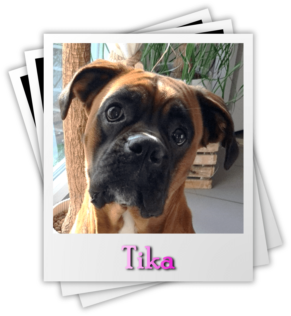 Tika