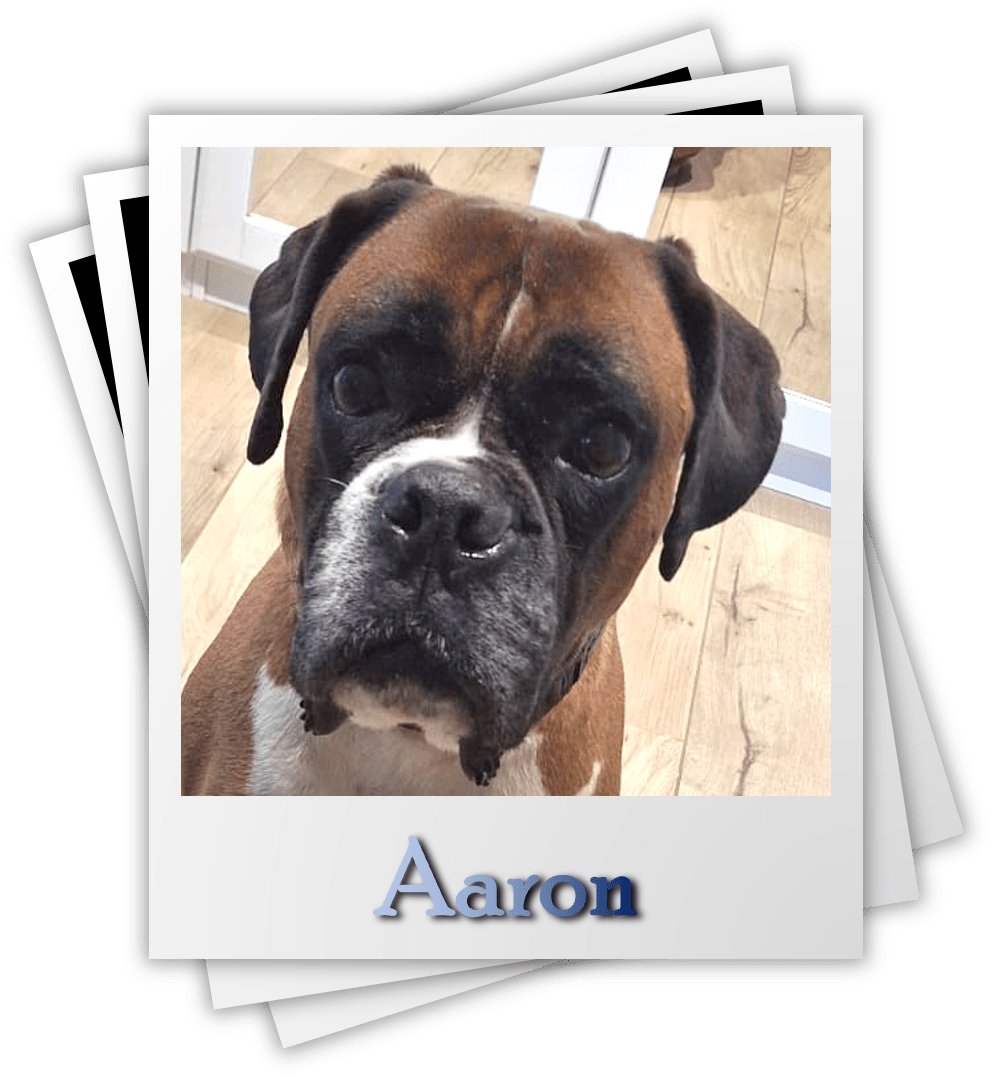 Aaron