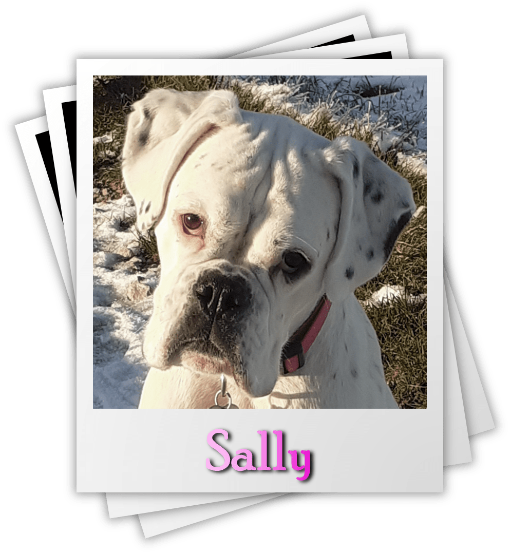 Sally