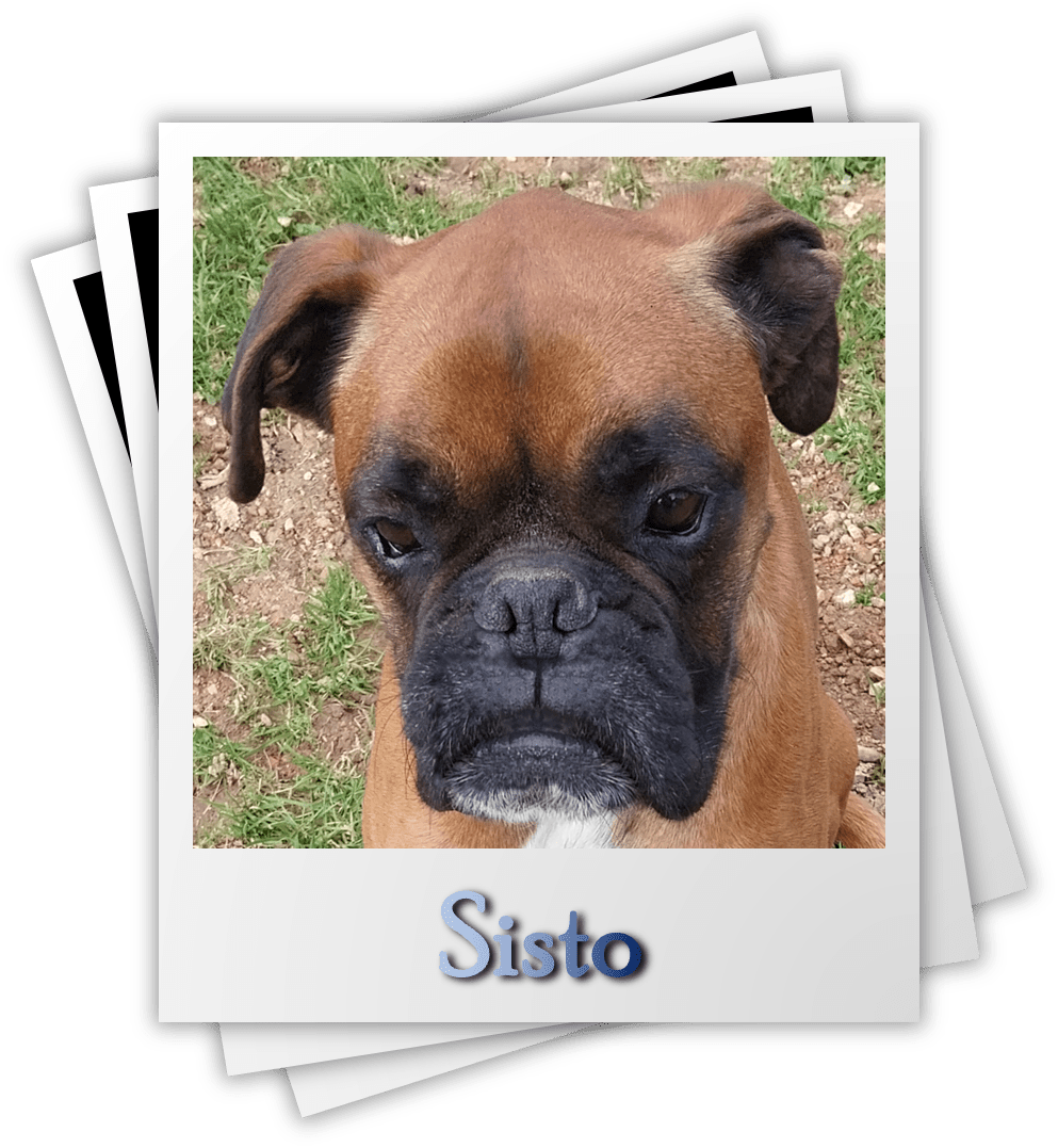 Sisto