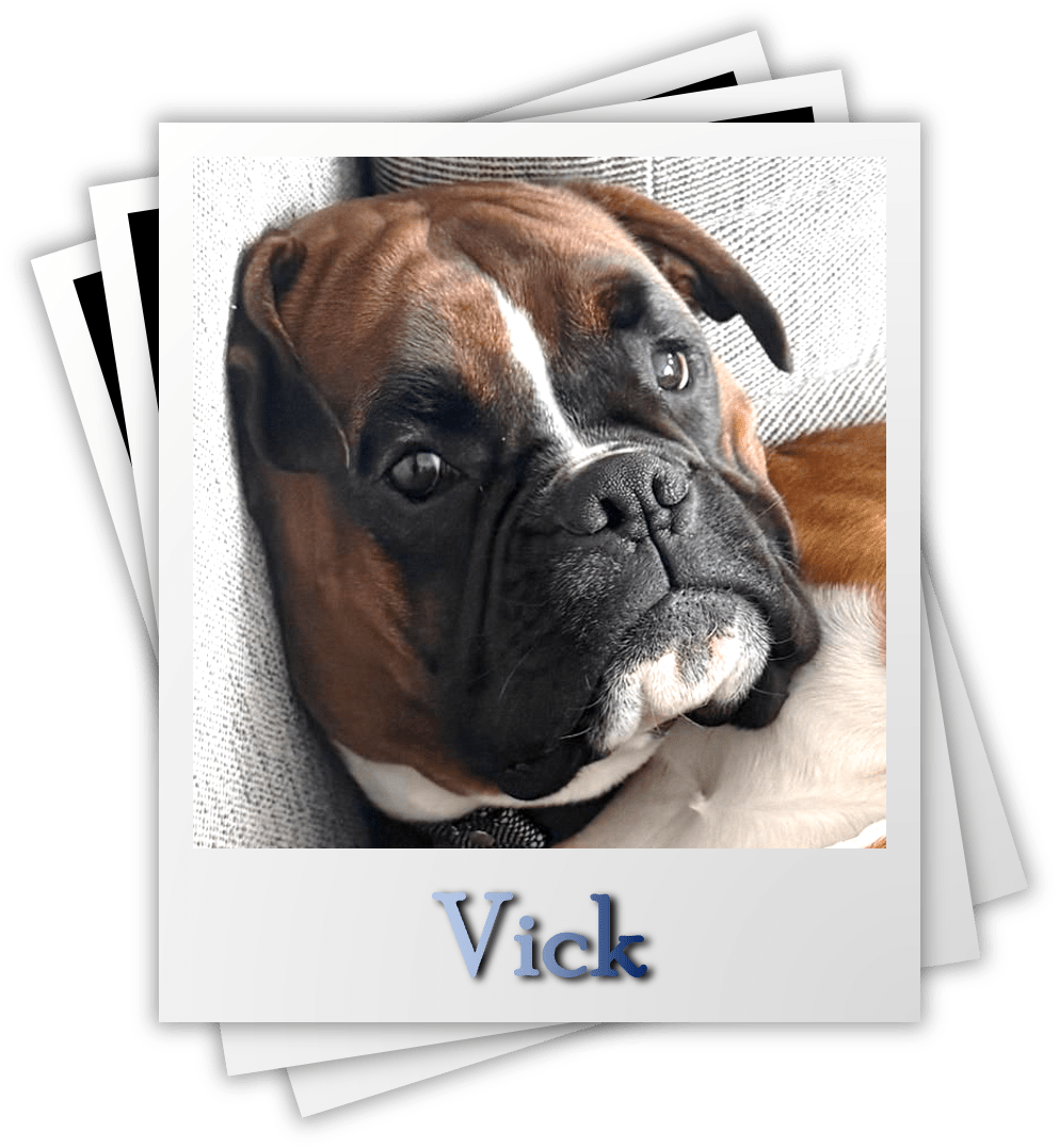 Vick