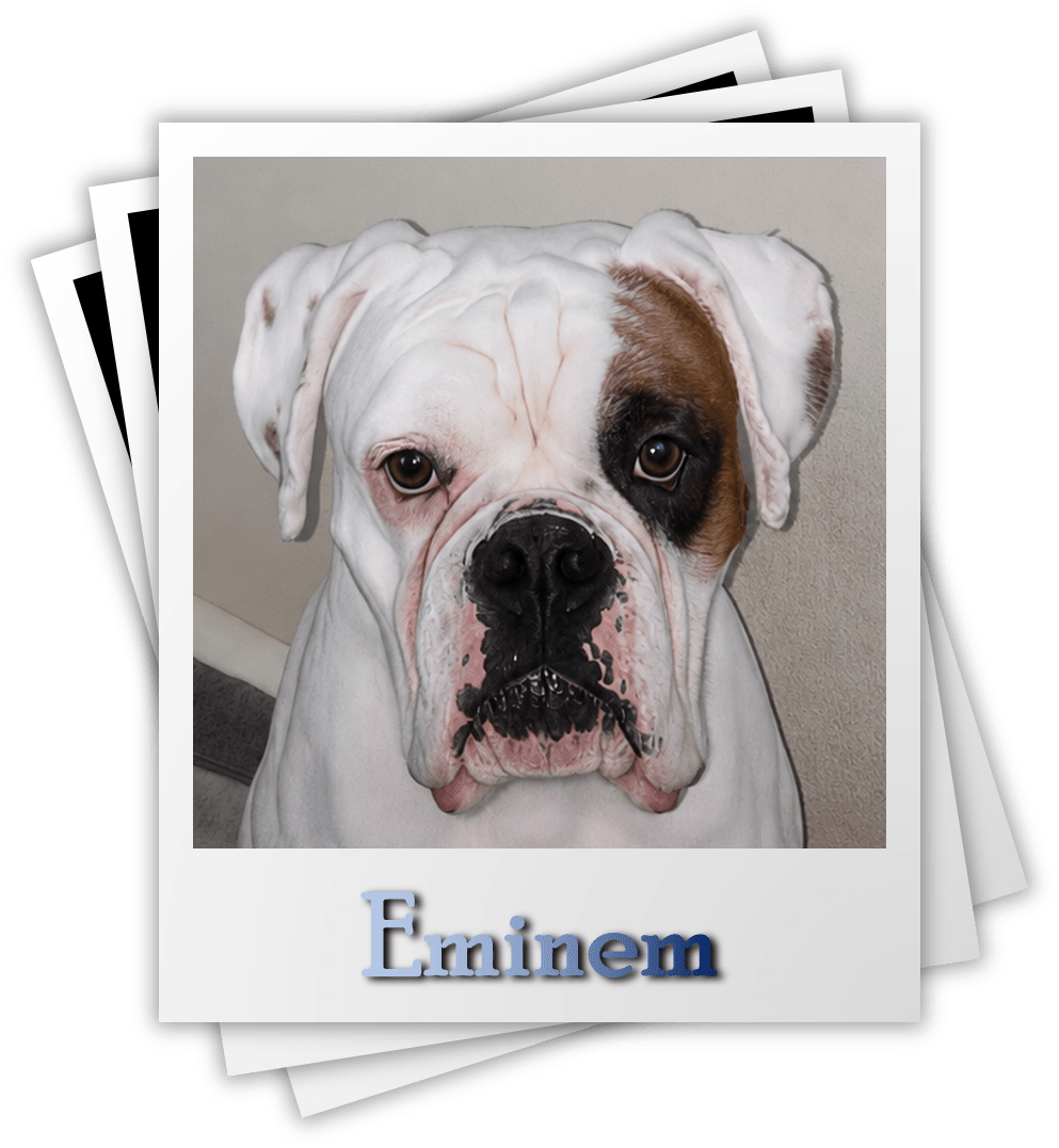 Eminem
