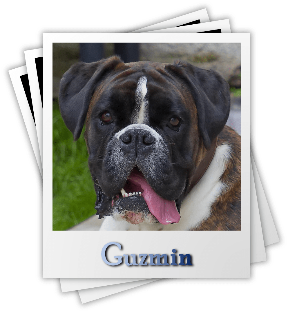 Guzmin