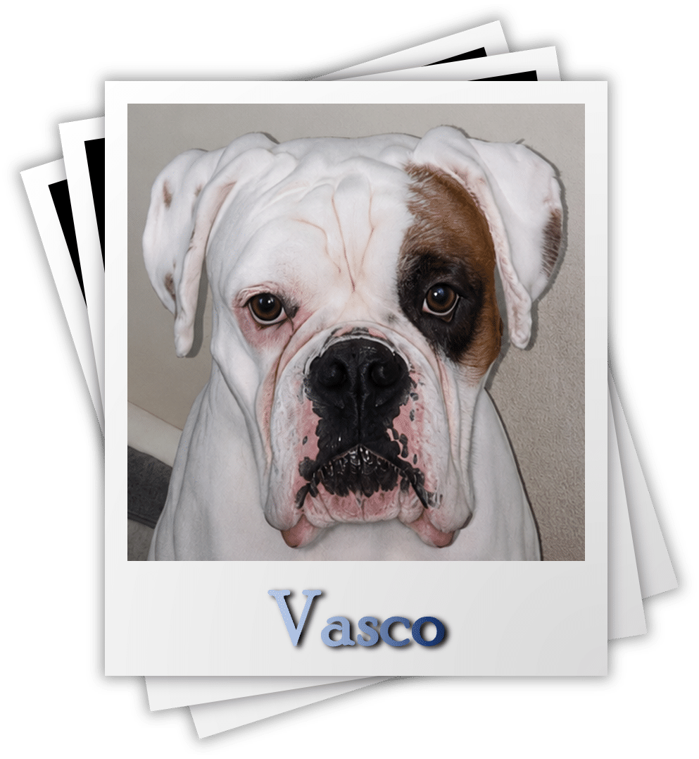Vasco