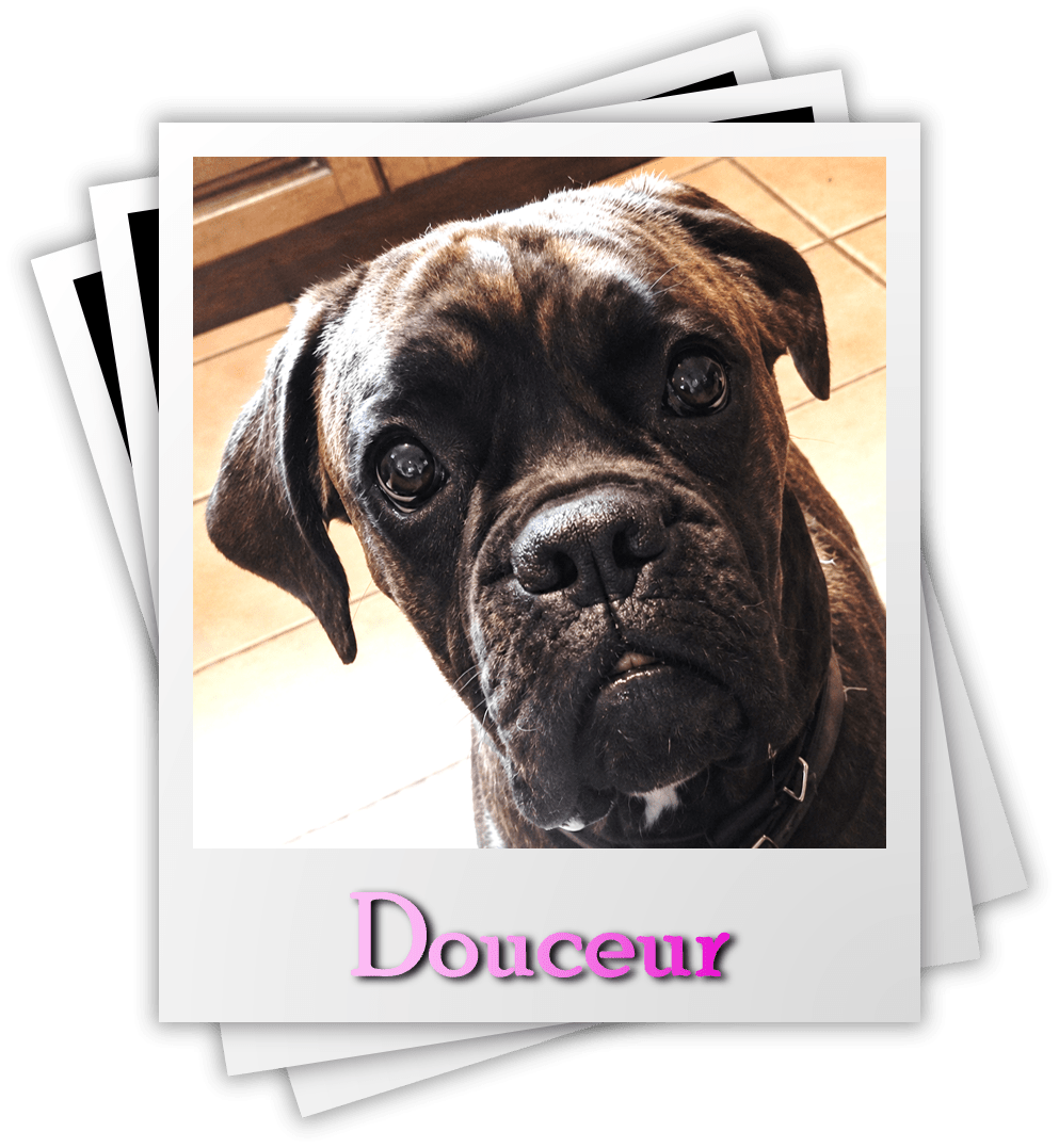 Douceur