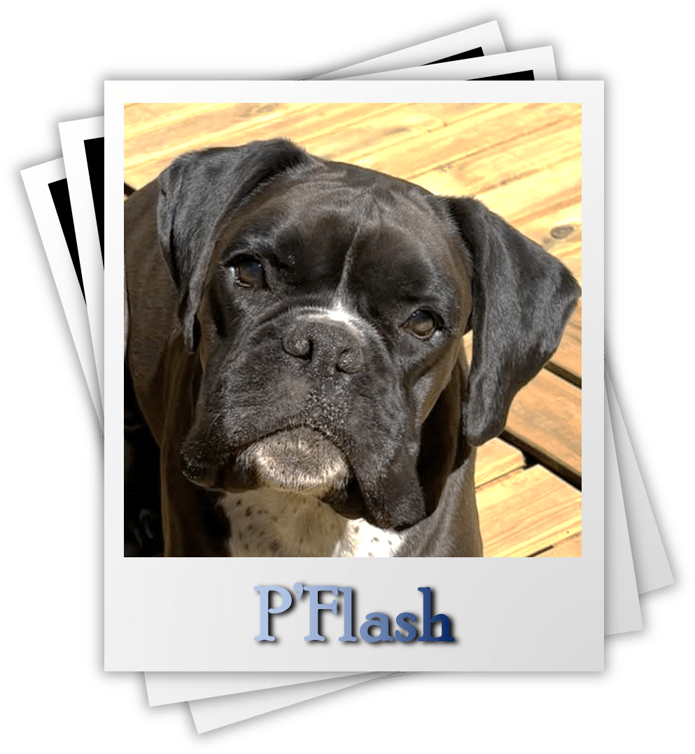 P’Flash